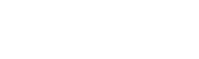 Skyflow